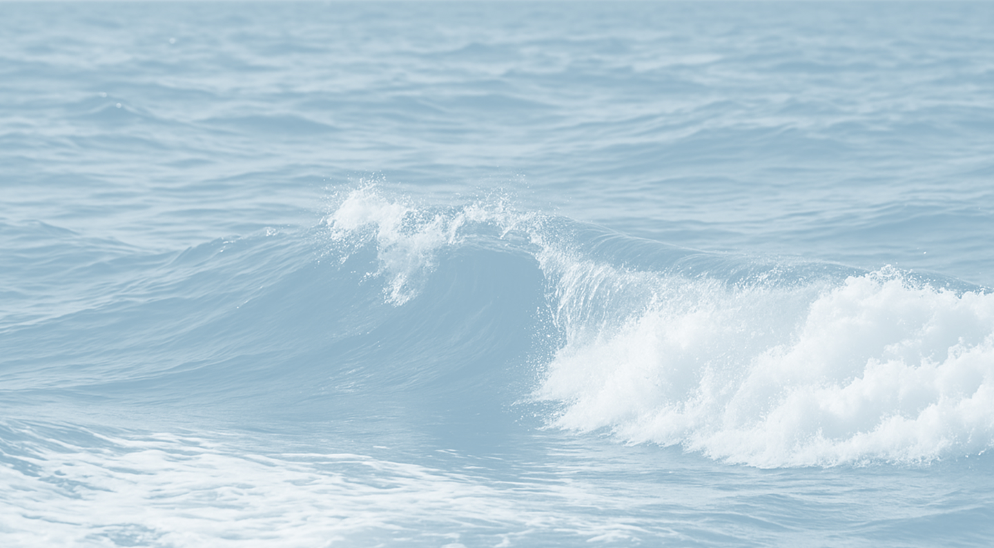 Joint Master’s Programme of Excellence Design for Sustainable Green Transition